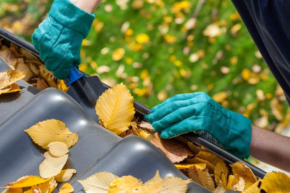 Roof Cleaning Services Near Me Jurupa Valley, CA